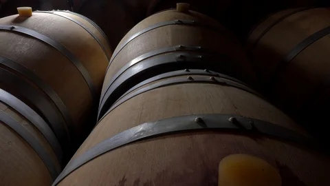 Line of oak barrel in a cellar for a wine perfect fermentation, Bordeaux Vineyar Stock Footage 102328094