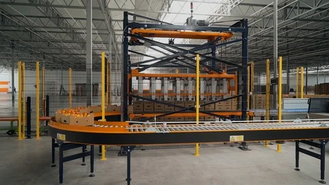 The line of packing fresh tomatoes in boxes inside greenhouse Stock Footage 101944658