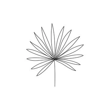 Line palm leaf art. One continuous line art decorative banana palm leaf draw Stock Illustration