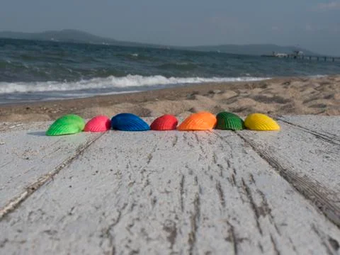 Line pattern of seashells Stock Photos