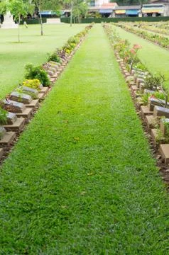 Line of peace Stock Photos