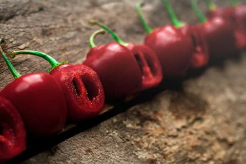 Line Up Stock Photos