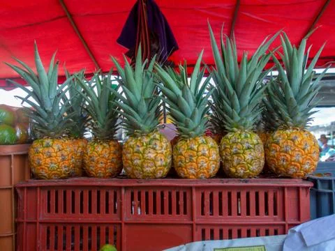 A line of pineapples on a plastic basket, captured at the traditional local m Stock Photos