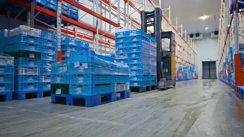 Line of poultry processing plants. Meat factory with automatic machines  Stock Footage 159156550