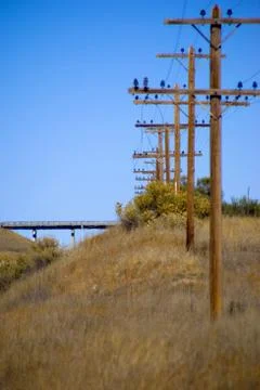 Line Of Power Poles Stock Photos
