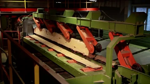 Line for processing wood and timber at the woodworking and furniture plant 库存影片 42451181