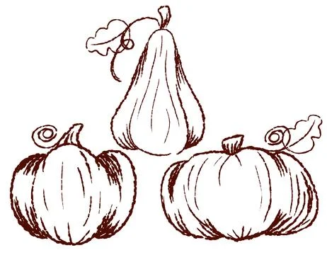 Line pumpkins drawn with a brush, doodle illustration Stock Illustration