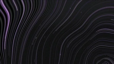 Line Purple02 Video stock 155573618