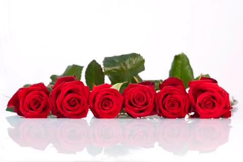 Line of red roses Foto stock