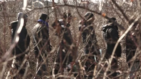 A line of refugees by the bush Stock Footage 172150802