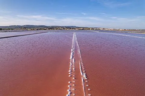Line of salt crystals across a pink salt pan facing Gruissan Фото