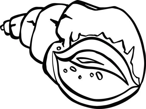 Line seashell symbol vector hand drawn Illustrazione stock