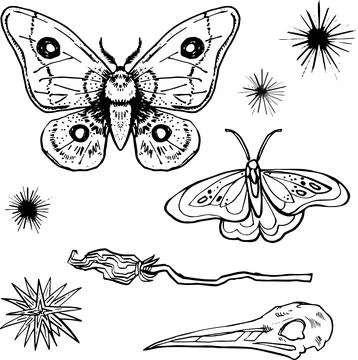 Line Set Witch item Halloween Clip art set Magic wand drawing skull outline.. Stock Illustration