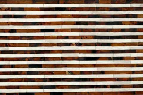 Line shell pattern Stock Photos