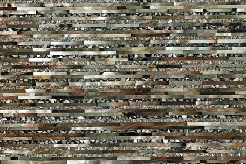 Line shell pattern Foto stock