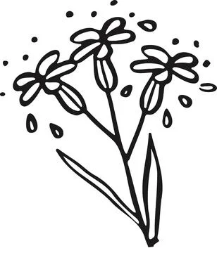 Line sketch bundle silhouette vector Stock Illustration