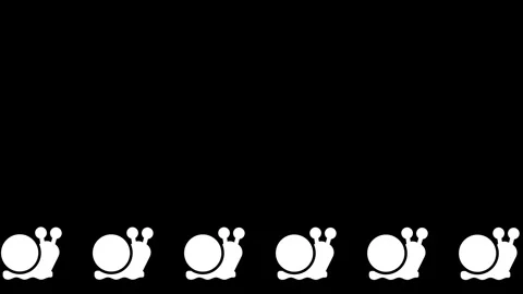 Line of Small Snails Stock Footage 334342862