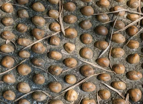 Line stone Stock Photos