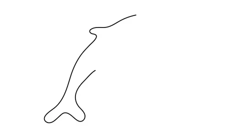 Line style dolphin vector illustration- continuous line drawing sea on the wave. Stock Footage 143461823