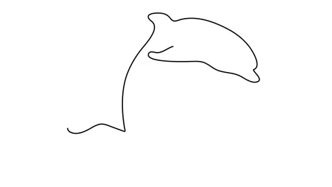 Line style dolphin vector illustration- continuous line drawing sea on the wave. Stock Footage 143461824