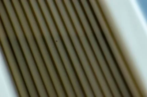 Line Style Impressionist Texture, Creative Foto stock