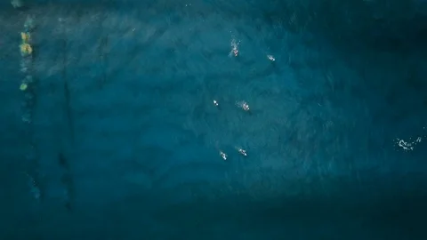 Line up top view of surfers in ocean Stock Footage 76523841