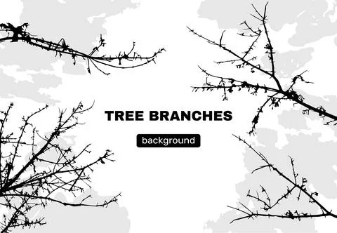 Line tree branch, leaf silhouettes. Strong and shadow vegetation art, black r Stock Illustration