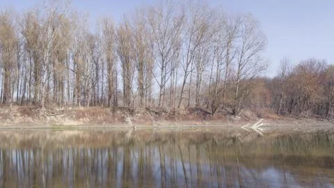 Line of Trees at Backwater Stock Photos
