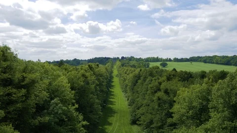 Line of trees with grass mown between leads to stately home, drone aerial 4K Stock Footage 101138922