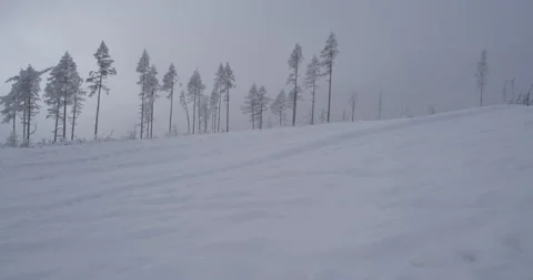 Line of trees in mountains, covered with snow. Video stock 147636035