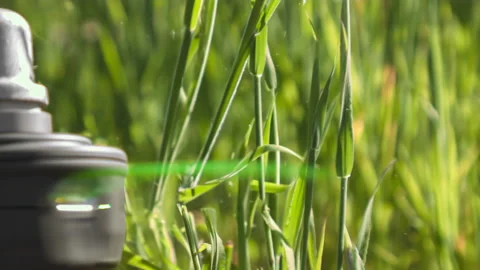 Line Trimmer Cutting Through Tall Grass in Slow Motion Stock Footage 155003752