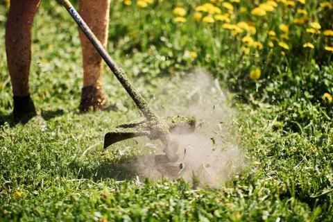 Line trimmer drum head came into contact with molehills, causing cloud of d.. Stock Photos