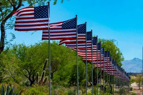 A line of US Flags blowing in the wind Stock Photos
