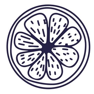 Line vector illustration of orange slice. Hand drawn icon Stock Illustration