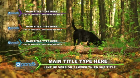 Line Up Version 2 Lower Third After Effects stock