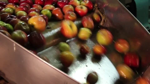 Line washing apples in the production of apple juice, the production of fruit Stock Footage 75257571