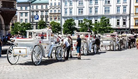 Line up of white carriages Stock Photos