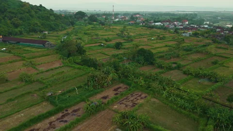 Linear Aerial Flyover of Green Rural Fields Stock Footage 344864920