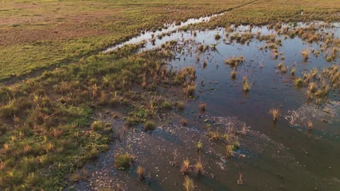 Linear Aerial Flyover of Marsh Wetland Landscape Stock Footage 344869318