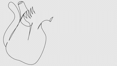 Linear animation of a human heart on a white background Stock Footage 157074176