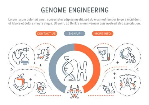 Linear Banner of Genome Engineering. Stock Illustration