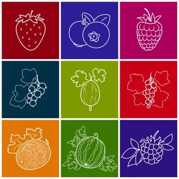 Linear Berry Icons 스톡 일러스트