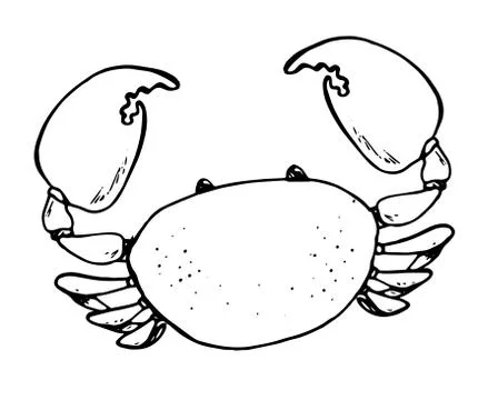 Linear black line drawing crab minimal cartoon cute. art sea animal isolated Stock Illustration