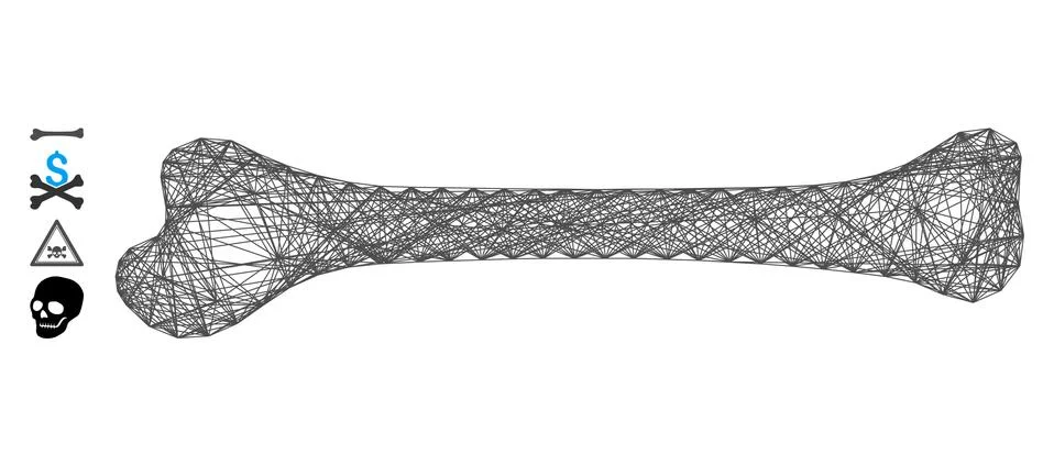 Linear Bone Vector Mesh Illustration
