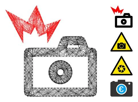 Linear Camera Flash Vector Mesh 库存插图