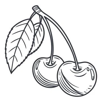 Linear Cherry Fruit Icon for Healthy Design Stock Illustration