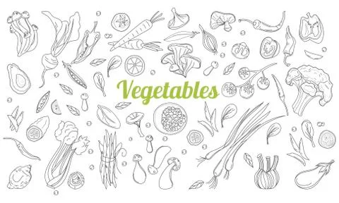 Linear graphic. Vegetables background. Scandinavian style. Healthy food. Vector Illustrazione stock