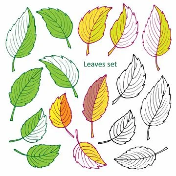 Linear green, red and black leaves set. Vector clipart. Summer and autumn Illustrazione stock