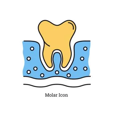 Linear isolated icon - Molar icon Stock Illustration