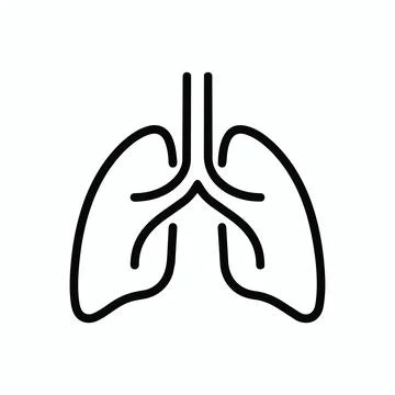 Linear outline icon of human lungs and airway structure with respiratory Stock Illustration